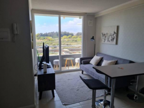 Hermoso departamento en La Serena II